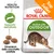 Royal Canin Active Life Outdoor, crocchette per gatti. Testi visibili: Health Nutrition, Supporto dell’attività, Dimensioni della crocchetta adattate, Top Seller.
