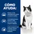 CÓMO AYUDA: Nutrición con alta palatabilidad para reponer nutrientes, favorece la salud de las heces y digestión, ayuda a recuperar energía y sistema inmunitario. Imagen de un gato.