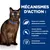 MÉCANISMES D’ACTION : Teneur en L-carnitine cliniquement prouvée, teneurs élevées en protéines et glucides pour réguler la glycémie, antioxydants cliniquement prouvés. Chat brun avec collier bleu.