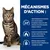 MÉCANISMES D’ACTION : agit selon la consommation énergétique du chat, favorise la combustion des graisses, mélange de fibres pour la satiété. Texte en français belge.