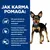 Jak karma pomaga: 96% psów straciło na wadze w warunkach domowych, pomaga utrzymywać masę ciała i energię, łatwa utrata masy bez ograniczania porcji.