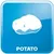 Λευκό σχέδιο πατάτας με την αγγλική λέξη POTATO σε μπλε φόντο. Το κείμενο είναι στα αγγλικά.