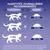 Tableau des quantités journalières recommandées : chat 2–4 kg 30–60 g, 4–6 kg 60–85 g, 6–8 kg 85–115 g. Conseils d’ajustement et eau fraîche à disposition.
