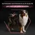 Nutrizione quotidiana di alta qualità per cani con pelle sensibile, testo su immagine con cane e grafica stilizzata sulla schiena.