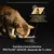 Gato comiendo de un cuenco Purina Pro Plan. Texto: Nutrición basada en la ciencia desarrollada por veterinarios de Purina. Cambia a los productos PRO PLAN SENIOR después de 7+ años. Gato comiendo de un cuenco Purina Pro Plan. Texto: Nutrición basada en la ciencia desarrollada por veterinarios de Purina. Cambia a los productos PRO PLAN SENIOR después de 7+ años.