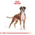 Illustratie van een Boxer hond met rode tekst bovenaan: 'RAS: BOXER'.