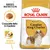 Royal Canin Adult Cavalier King Charles, croquete feito à medida, saúde cardíaca. Embalagem de ração para cães com imagem do croquete e ilustração de cão. Royal Canin Adult Cavalier King Charles, croquete feito à medida, saúde cardíaca. Embalagem de ração para cães com imagem do croquete e ilustração de cão.