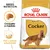 Saco de pienso Royal Canin Adult Cocker, texto visible: 'Croqueta a medida', 'Piel y pelaje saludables', imagen de croqueta y perro cocker spaniel. Breed Nutrition.