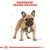 Royal Canin French Bulldog  Adult