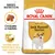 ROYAL CANIN ADULT Jack Russell Terrier, croqueta a medida, complejo para el mantenimiento de la masa muscular y la vitalidad. Imagen de un perro Jack Russell Terrier en el envase.