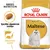 Royal Canin Adult Maltese hondenvoer, afbeelding van een Maltezer hond, tekst: Specifiek afgestemde brokken, Gezonde vacht, Breed Nutrition. Royal Canin Adult Maltese hondenvoer, afbeelding van een Maltezer hond, tekst: Specifiek afgestemde brokken, Gezonde vacht, Breed Nutrition.
