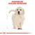 Royal Canin Golden Retriever Puppy
