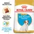 Royal Canin Puppy Jack Russell Terrier hondenvoer, specifiek afgestemde brokken, ondersteunt de natuurlijke afweer. Verpakking met afbeelding van een puppy en merknaam duidelijk zichtbaar.