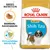 Royal Canin Puppy Shih Tzu -kuivaruokapakkaus, tekstit: Räätälöity kuivanappula, Immuunijärjestelmän tuki, kuva nappulasta ja shih tzu -pennusta.