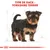 Type de race : Yorkshire Terrier, illustration d’un chiot Yorkshire Terrier debout, texte en haut de l’image en rouge.