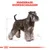 Royal Canin Miniature Schnauzer Adult