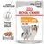 Royal Canin Coat Care All Sizes, 85 g x12, mousse pour chien, texte visible : Care Nutrition, Pelage sain et brillant, image d’un chien à poil long sur l’emballage. Royal Canin Coat Care All Sizes, 85 g x12, mousse pour chien, texte visible : Care Nutrition, Pelage sain et brillant, image d’un chien à poil long sur l’emballage.