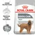ROYAL CANIN DENTAL CARE MAXI dog food pack, text: Care Nutrition, Reduces tartar formation, Proven results up to 75% reduced tartar formation, image of large long-haired dog ROYAL CANIN DENTAL CARE MAXI dog food pack, text: Care Nutrition, Reduces tartar formation, Proven results up to 75% reduced tartar formation, image of large long-haired dog