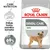 Royal Canin Dental Care Mini. Znižuje tvorbu zubného kameňa, osvedčené výsledky až 69 % zníženie tvorby zubného kameňa. Balenie s obrázkom malého psa. Royal Canin Dental Care Mini. Znižuje tvorbu zubného kameňa, osvedčené výsledky až 69 % zníženie tvorby zubného kameňa. Balenie s obrázkom malého psa.