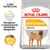 ROYAL CANIN DERMACOMFORT MEDIUM, receptura o ograniczonej zawartości alergenów, 91% zadowolonych właścicieli po 2 miesiącach, opakowanie z wizerunkiem psa ROYAL CANIN DERMACOMFORT MEDIUM, receptura o ograniczonej zawartości alergenów, 91% zadowolonych właścicieli po 2 miesiącach, opakowanie z wizerunkiem psa