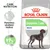 Royal Canin Digestive Care Maxi -koiranruokapakkaus, tekstit: Parantaa ulosteen laatua, Tutkitut tulokset jopa 97 %:lla ihanteellinen ulosteen laatu, kuva isosta koirasta Royal Canin Digestive Care Maxi -koiranruokapakkaus, tekstit: Parantaa ulosteen laatua, Tutkitut tulokset jopa 97 %:lla ihanteellinen ulosteen laatu, kuva isosta koirasta