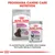 Royal Canin Relax Care Medium ração seca e Royal Canin Relax Care All Sizes alimento húmido para cães. Texto: A combinação perfeita das nossas fórmulas secas e húmidas.
