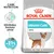 Pachet Royal Canin Urinary Care Mini, text vizibil: Sănătatea tractului urinar, Rezultate dovedite +21% dilu ia urinei, imagine câine mic pe ambalaj.
