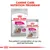 Royal Canin Exigent dry and wet food shown with text: Canine Care Nutrition Program. The perfect combination of our dry and wet formulas. 99% preferred result claim visible.