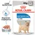 Royal Canin Light Weight Care All Sizes, 85 g x12. Begrænser vægtøgning, paté. Care Nutrition. Billede af lille hund på emballagen. Royal Canin Light Weight Care All Sizes, 85 g x12. Begrænser vægtøgning, paté. Care Nutrition. Billede af lille hund på emballagen.