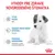 Royal Canin Babydog Milk