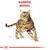 Royal Canin Bengal Adult