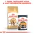 1 tasak tartalmát adja a napi tápszemcse-adaghoz. Royal Canin Bengal száraztáp és Royal Canin Intense Beauty Care 85 g nedves eledel macskáknak csomagolásban.