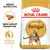 Royal Canin Adult Bengal macskatáp csomagolás, tigrismintás macskával. Szöveg: Testre szabott tápszemcse, Hatékony emésztés. Royal Canin Adult Bengal macskatáp csomagolás, tigrismintás macskával. Szöveg: Testre szabott tápszemcse, Hatékony emésztés.