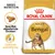 Royal Canin Adult Bengal kattenvoer, afbeelding van brokjes, tekst: Specifiek afgestemde brokken, Optimale spijsvertering, Breed Nutrition, verpakking met afbeelding van een Bengaal kat. Royal Canin Adult Bengal kattenvoer, afbeelding van brokjes, tekst: Specifiek afgestemde brokken, Optimale spijsvertering, Breed Nutrition, verpakking met afbeelding van een Bengaal kat.