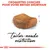 Croquettes conçues pour votre British Shorthair, texte anglais visible : tailor-made nutrition. Image d’une croquette marron sur fond blanc.
