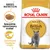 ROYAL CANIN ADULT British Shorthair, specjalnie opracowany krokiet, optymalne napięcie mięśni. Opakowanie karmy z wizerunkiem kota brytyjskiego krótkowłosego. ROYAL CANIN ADULT British Shorthair, specjalnie opracowany krokiet, optymalne napięcie mięśni. Opakowanie karmy z wizerunkiem kota brytyjskiego krótkowłosego.