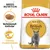 Royal Canin Adult British Shorthair torrfoder, skräddarsytt torrfoder, främjar muskelmassan. Bild på foderbit och grå katt. Text: Breed Nutrition.