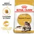 Royal Canin Adult Maine Coon, crocchetta su misura, sostegno delle articolazioni. Immagine di un gatto Maine Coon e della confezione del prodotto.