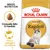 Embalagem de ração Royal Canin Adult Ragdoll com imagem de um gato, texto 'Croquete feito à medida' e 'Pele e pelagem saudáveis'. Embalagem de ração Royal Canin Adult Ragdoll com imagem de um gato, texto 'Croquete feito à medida' e 'Pele e pelagem saudáveis'.