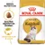 Royal Canin Adult Ragdoll kattenvoer, tekst: Specifiek afgestemde brokken, Gezonde huid & vacht, afbeelding van een brok en een Ragdoll kat op de verpakking. Royal Canin Adult Ragdoll kattenvoer, tekst: Specifiek afgestemde brokken, Gezonde huid & vacht, afbeelding van een brok en een Ragdoll kat op de verpakking.