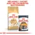 Mélangez 1 sachet avec ses croquettes quotidiennes. Paquet Royal Canin Sphynx Adult et sachet Royal Canin Intense Beauty Care 85 g visibles.