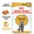 Royal Canin Adult British Shorthair, 85g x 12. Angepasste Textur und angepasster Energiegehalt für Rassekatzen. Breed Nutrition.