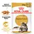 Royal Canin Adult Maine Coon, 85g x 12. Angepasste Textur für gesunde Knochen und Gelenke. Breed Nutrition speziell für Maine Coon Katzen. Royal Canin Adult Maine Coon, 85g x 12. Angepasste Textur für gesunde Knochen und Gelenke. Breed Nutrition speziell für Maine Coon Katzen.