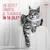 Royal Canin Digestive Care AirLift Mousse Royal Canin Digestive Care AirLift Mousse