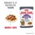 ROYAL CANIN Appetite Control kattemad, tekst: Bidrager til at kontrollere tiggeri, 90% of owners reported controlled begging in 4 weeks, bidder i sovs. Billede af foder og kat.