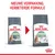 Royal Canin Care Digestive kattenvoer, oude en nieuwe verpakking naast elkaar. Tekst boven: 'Nieuwe verpakking, verbeterde formule'. Op de zakken: Digestive, kat, resultaten in procenten.