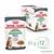 Royal Canin Digestive, 95% healthy stool quality in 10 days, pachet cu 12 plicuri a câte 85 g fiecare. Imaginea prezintă ambalajul și un castron cu hrană umedă pentru pisici.