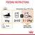 Feeding guide for 4kg cat: 2½ Royal Canin pouches or 1 pouch plus 29g dry. Metabolisable energy: 958 kcal/kg. Water shown. For Royal Canin Hair & Skin Care.