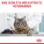 Royal Canin Hairball Care i saus