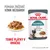ROYAL CANIN HAIRBALL, tenké plátky v omáčke, pomáha znižovať vznik bezoárov. Na obale mačka a miska s krmivom. Text v angličtine: Reduces hairball formation in 14 days*.